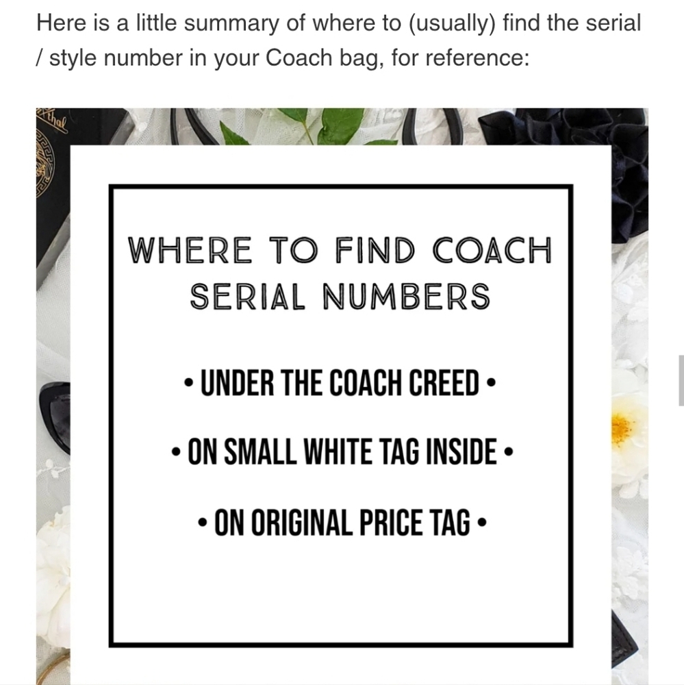 Coach Bags